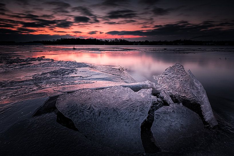 Winter in the Biesbosch by Eddy Westdijk