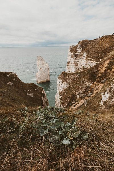 Normandië kust van Étretat Frankrijk van Sanne van Es