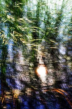 Schilf im blauen Wasser – Sonnenreflexionen