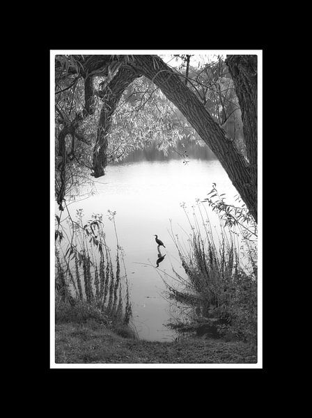 Grue dans l'eau par Schwarzkopf-Photoart