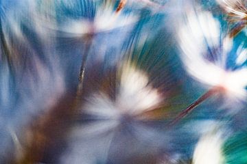 Gekleurde Bloemen | Abstracte Foto van Nanda Bussers
