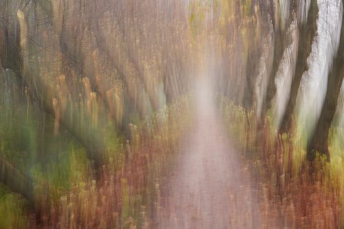 Kersendijkje in de herfst (ICM)