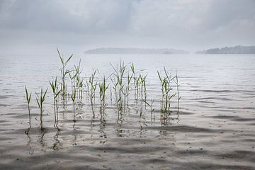 Siljan meer in Zweden van Dennis Claessens