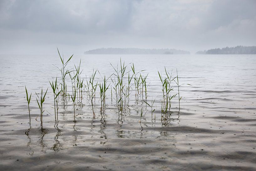 Siljan lake in Sweden by Dennis Claessens