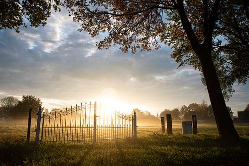 Dromerig mistlandschap op het Brabantse platteland
