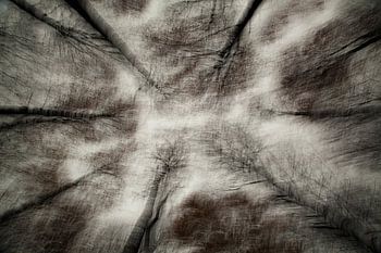 De eerste herfststorm