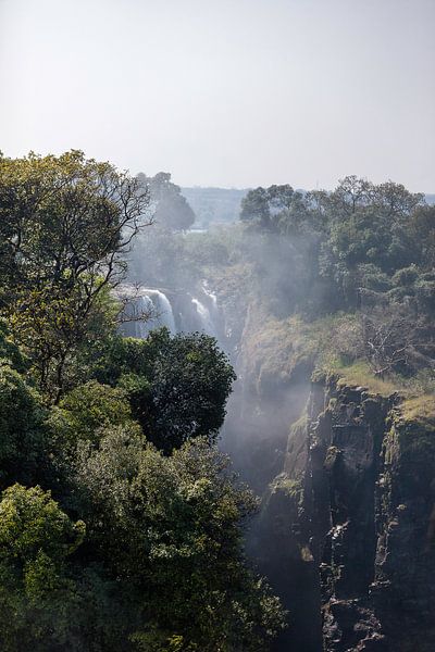 Victoria Falls in Zimbabwe von Henri Kok