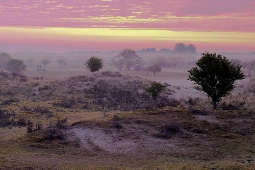 Amsterdamse Waterleiding Duinen