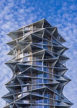 Kaktus torens in Kopenhagen, Denemarken van Adelheid Smitt