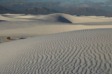 White Sands Dunes National Monument in New Mexico USA van Frank Fichtmüller