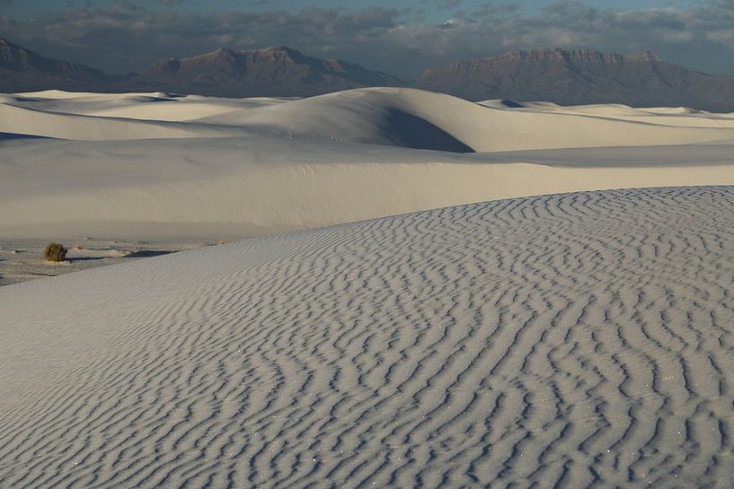 White Sands Dunes National Monument in New Mexico USA by Frank Fichtmüller