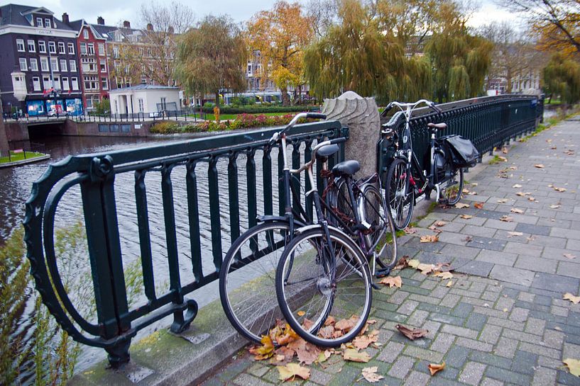 Autumn in Amsterdam par Silva Wischeropp