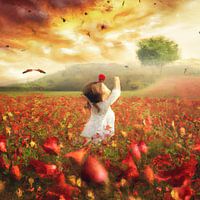 Mohnblumen spielen
