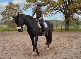 Training with the Bayer black horse Baveria on a riding arena in autumn
