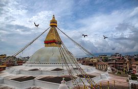 Birds fly over temple. by Floyd Angenent