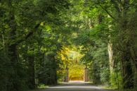 The start of a sunny summer day at entrance gate Heerlijkheid Mariënwaerdt Estate by Moetwil en van Dijk - Fotografie thumbnail
