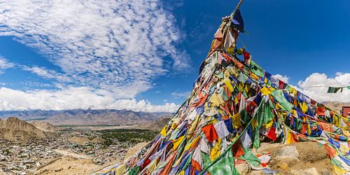 Panorama over Leh