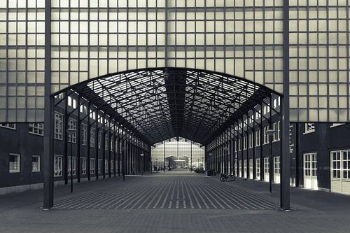 Industrieel Licht – Overkapping Thijssestraat Den Haag