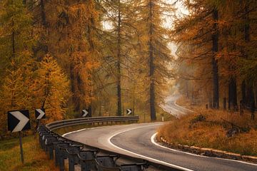 Winding throught the mountains by Martin Podt