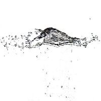 Wasser fliegt durch die Luft