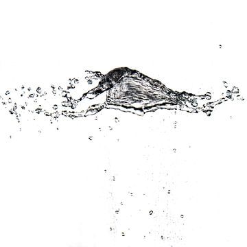 Water vliegt door de lucht van Andreas Hackl