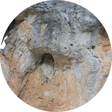 rots van marijke servaes