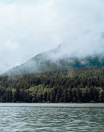 Glendale cove - British Columbia by Joris de Bont