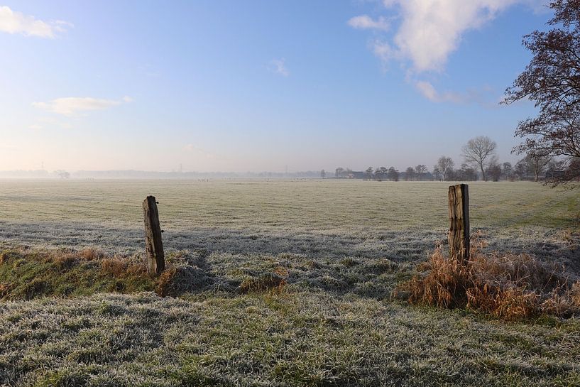 winterse vorst landschap van Eline Sijtsma
