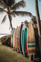 Surfboards on the palm beach