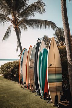 Planches de surf sur une plage de palmiers sur drdigitaldesign