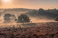 Zonsopkomst Posbank