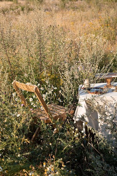 Table setting in field of flowers with late summer light. by PGGYJNSSN PHOTOART
