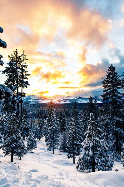 Winter-Vibes von Hello Pompoyo