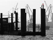 Port of Hamburg 1 by Kay Weber thumbnail