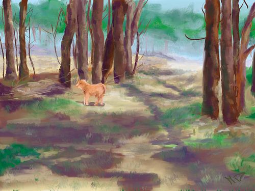 Highlander in den Wäldern