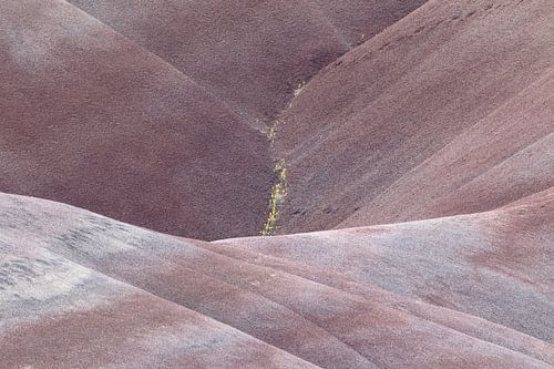Beschilderde heuvels in het John Day Fossil Beds National Monument bij Mitchell City, Wheeler County