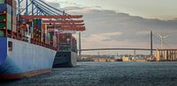 Terminal à conteneurs dans le port de Hambourg au coucher du soleil avec le pont Köhlbrand par Jonas Weinitschke Aperçu