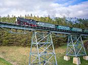 De Fichtelbergspoorweg op het Hüttenbachviaduct van t.ART thumbnail