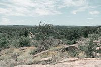 Skyline from a hill