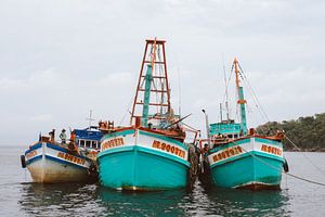 Kleurrijke bootjes in Vietnam! van Karlijne Geudens