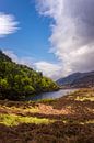 Glen Strathfarrar in die nahe von Beauly, Inverness-Grafschaft, Schottland von Pascal Raymond Dorland Miniaturansicht