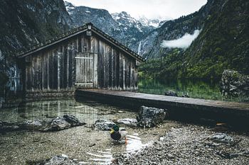 Obersee