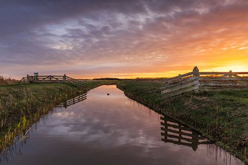 Kleurrijke zonsopkomst boven natuurgebied Kruiszwin in Anna Paulowna