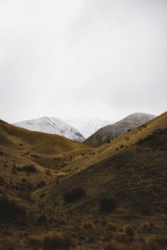 Mt. Cook's Verheven Pracht
