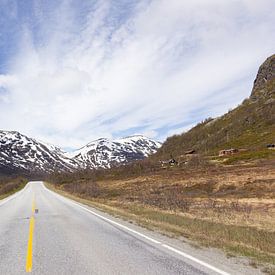 Les routes norvégiennes sur MDRN HOME