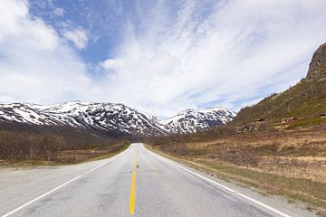 Norwegian Roads