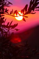 Coucher de soleil italien