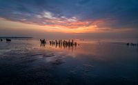 Sunset at the Moddergat