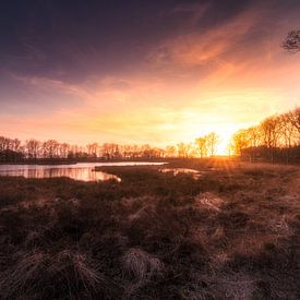 Taarlose Veentje van Peter Grannetia