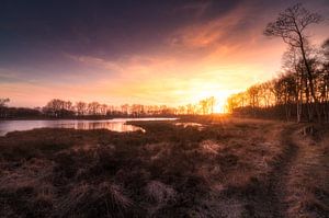 Taarlose Veentje von Peter Grannetia